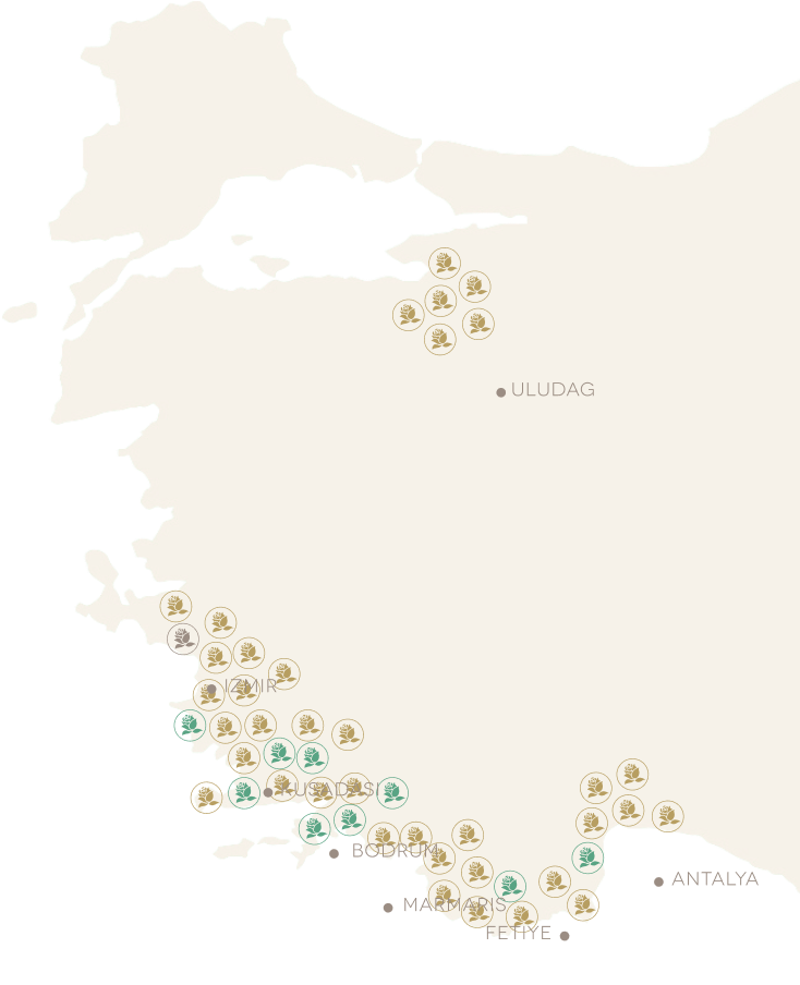 Carisma wellness centre locations across Turkey